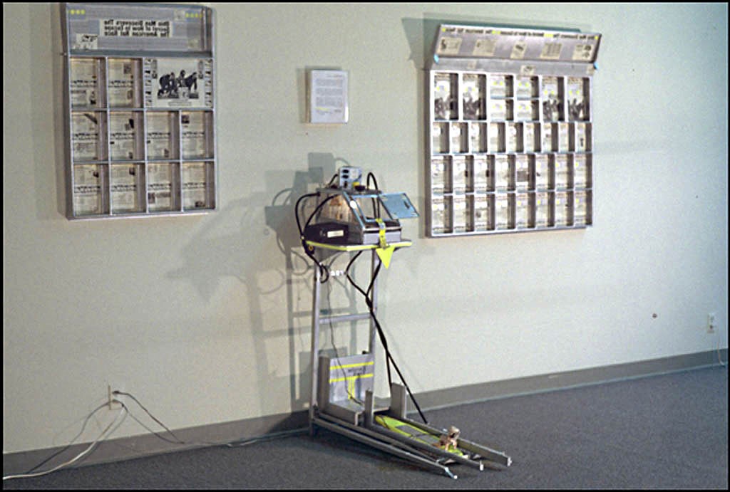 Specimen UI-2 Installation View
