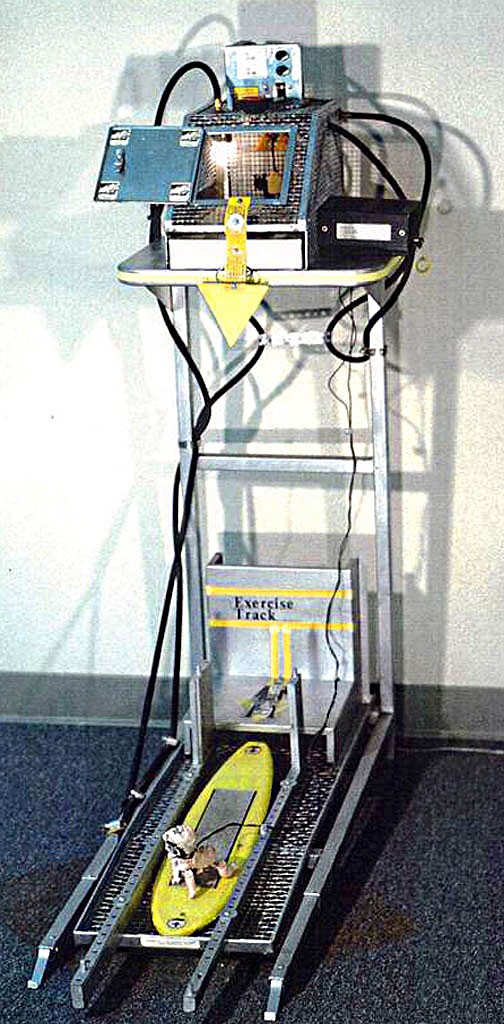 Specimen UI-2