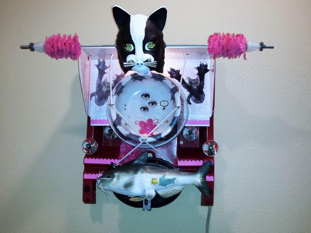 cat go fish
